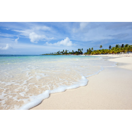 Isla Saona Catamarán