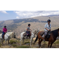 Montaña redonda + paseo a caballo