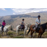 Montaña redonda + paseo a caballo