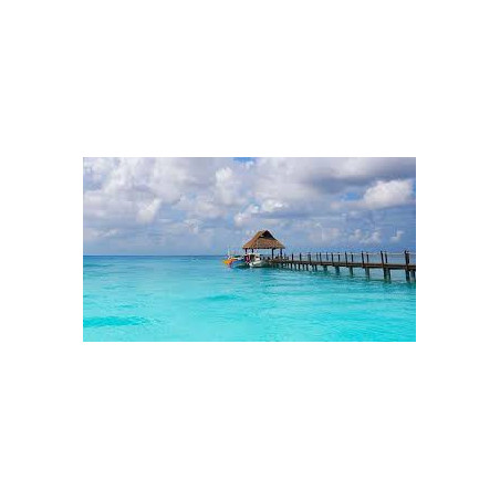 Cozumel snorkel