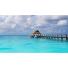 Cozumel snorkel
