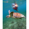 Akumal + cenote