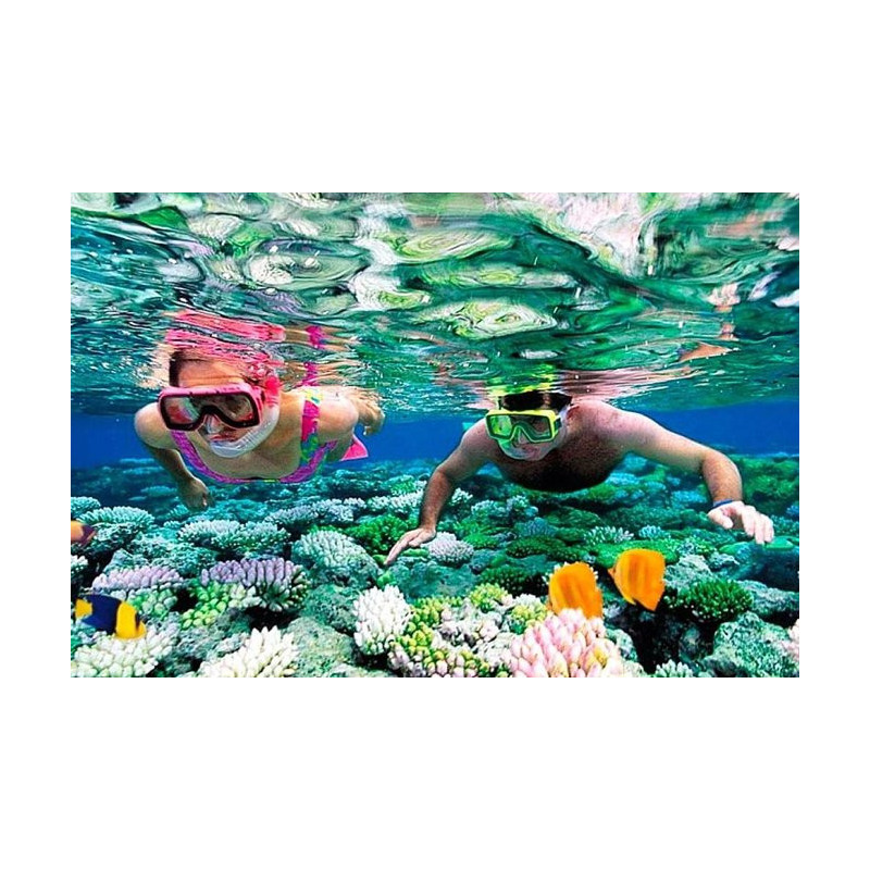 Puerto Morelos snorkel