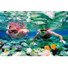 Puerto Morelos snorkel
